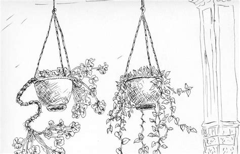 Sketsa Gambar Pot Bunga Gantung - Bungainfos